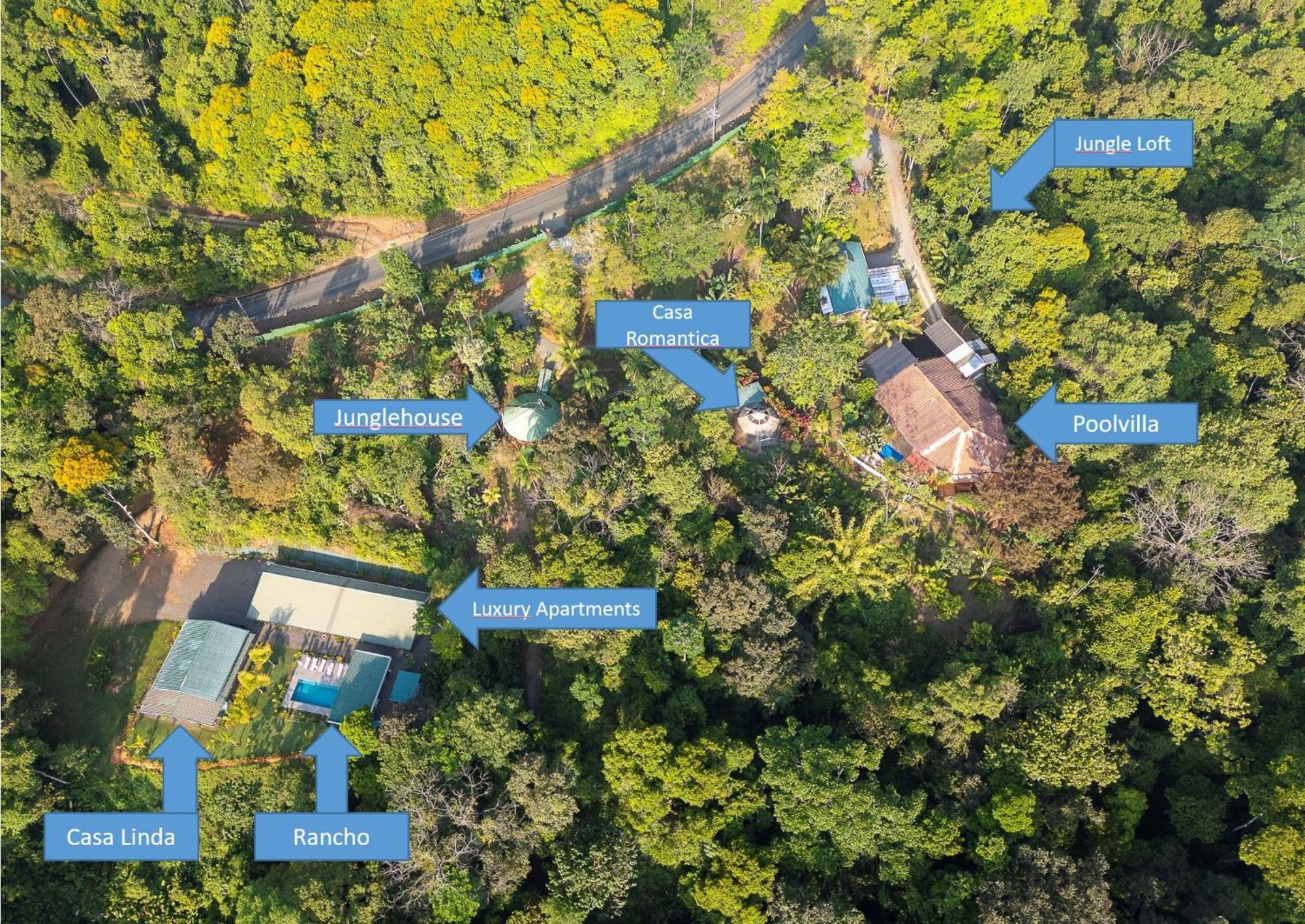 Paradiselodge Jungleguesthouse Platanillo Екстер'єр фото