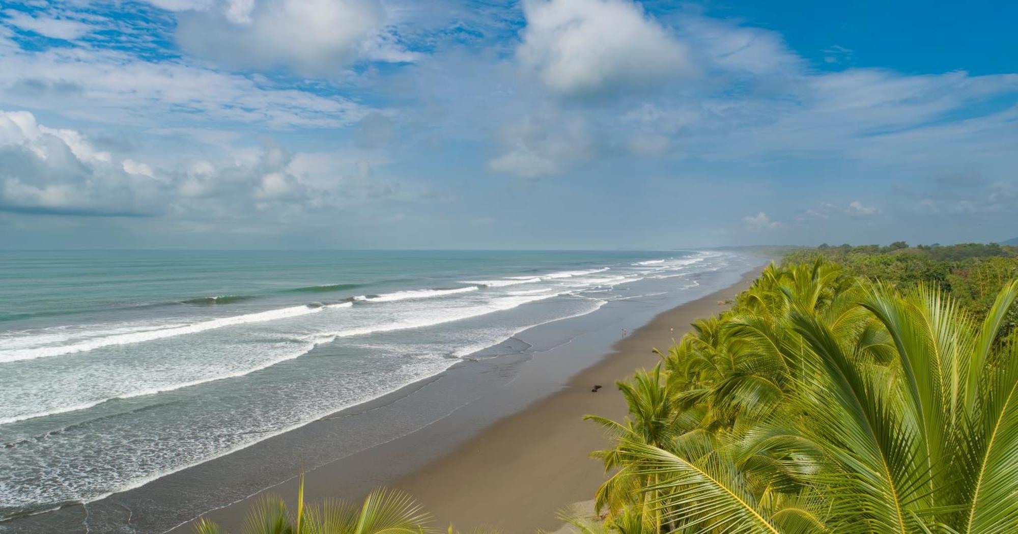 Paradiselodge Jungleguesthouse Platanillo Екстер'єр фото